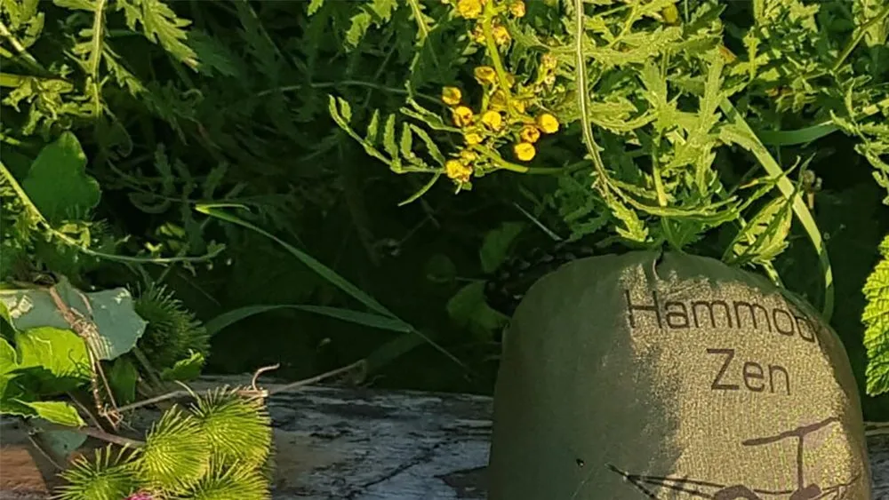 ブッシュメントラベルギア ゼン ハンモック オリーブ オレンジ BUSHMEN Travel Gear ZEN Hammock olive orange