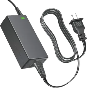 29.4V AC/DC Charger Replacement for Swagtron Swagboard NG-1 Swagger 1 NextGen Electric Longboard Motorized Skateboard Swagger1 NG1 E66242-2 AA-66242-2 38.4Wh Power Supply Battery, Black