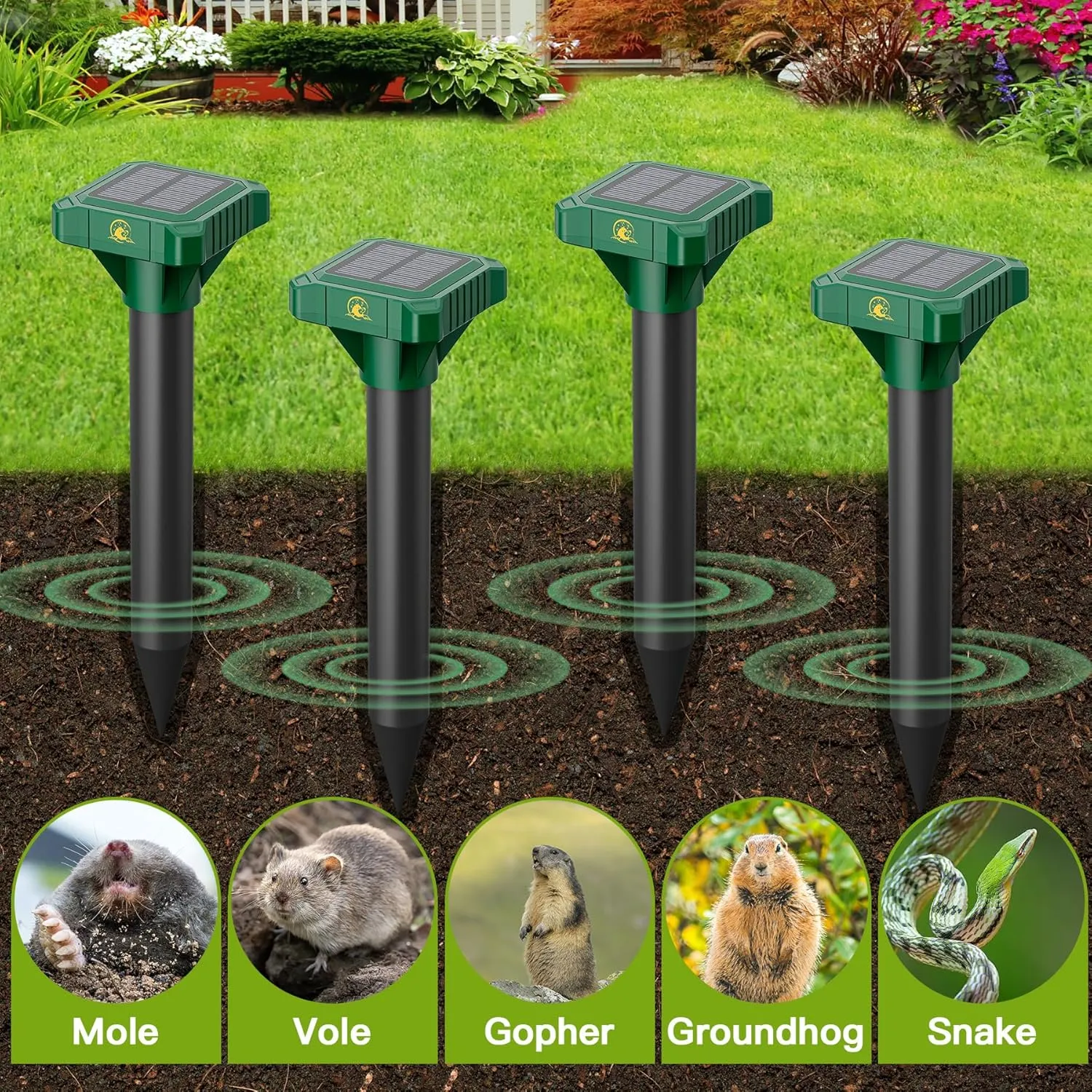 8 Pack Mole Repellent Solar Powered, IP65 Waterproof Gopher Chipmunk Repeller Outdoor, Groundhog Snake Repellent for Yard, Sonic Mole and Vole Deterrent Spikes, Effective Lawn and Garden Protection