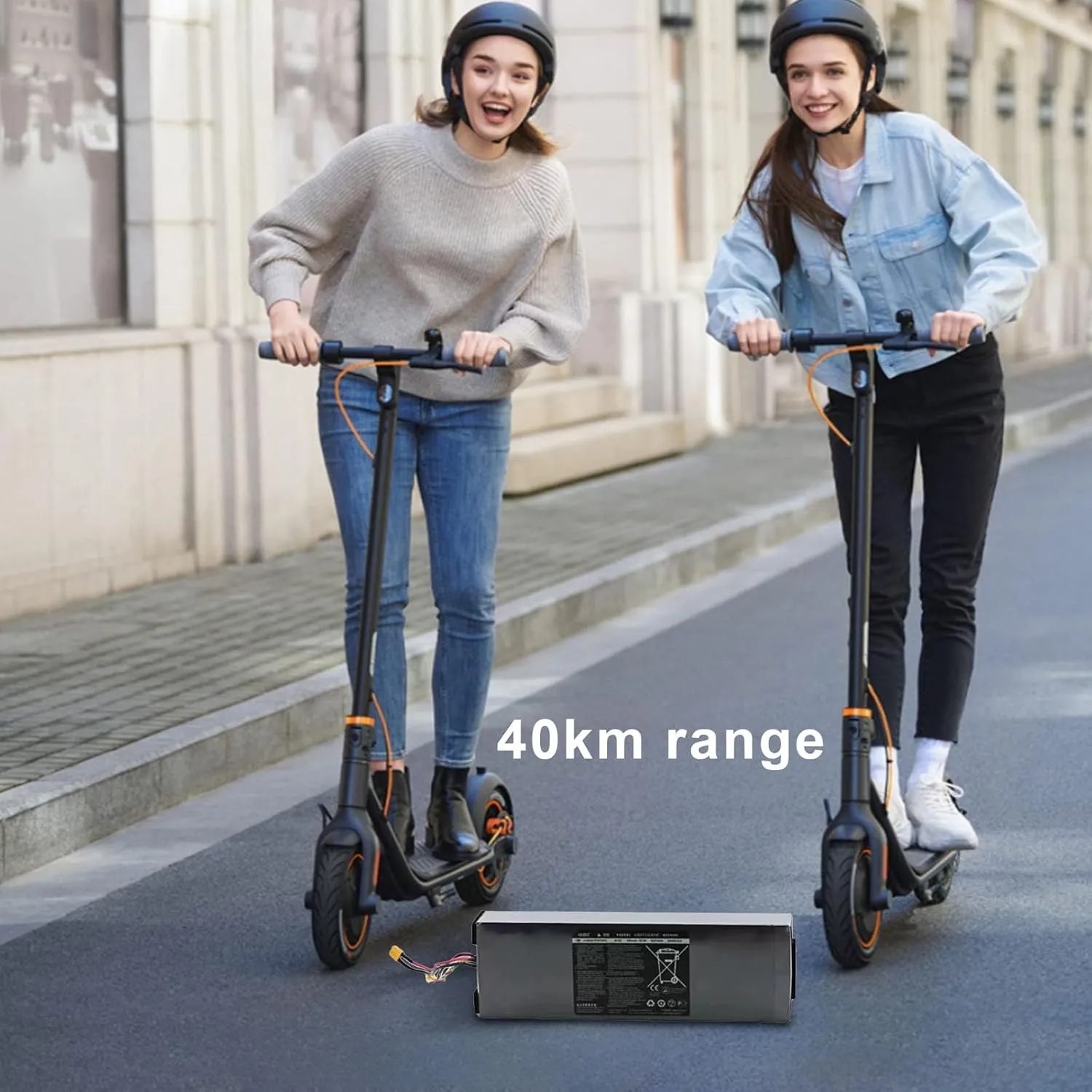 Battery for Segway Ninebot Electric Kick Scooter F25/F30/F40 (F25)