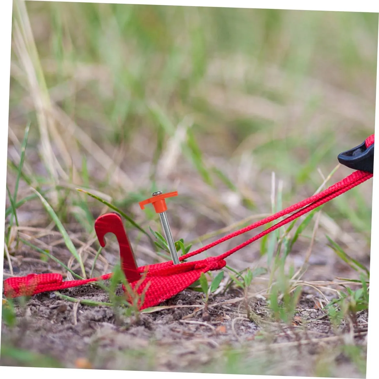 BESPORTBLE Tent Pegs 6pcs Heavy Duty Metal Stakes for Outdoor Use Tents and Tarps