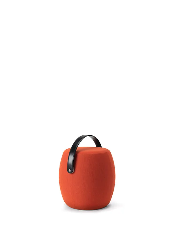 Carry On Stool