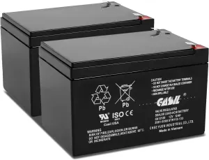 Casil 12V 12Ah Replacement Battery Compatible with INVACARE Lynx L-3, L-4 Sitting Scooter 2 Pack