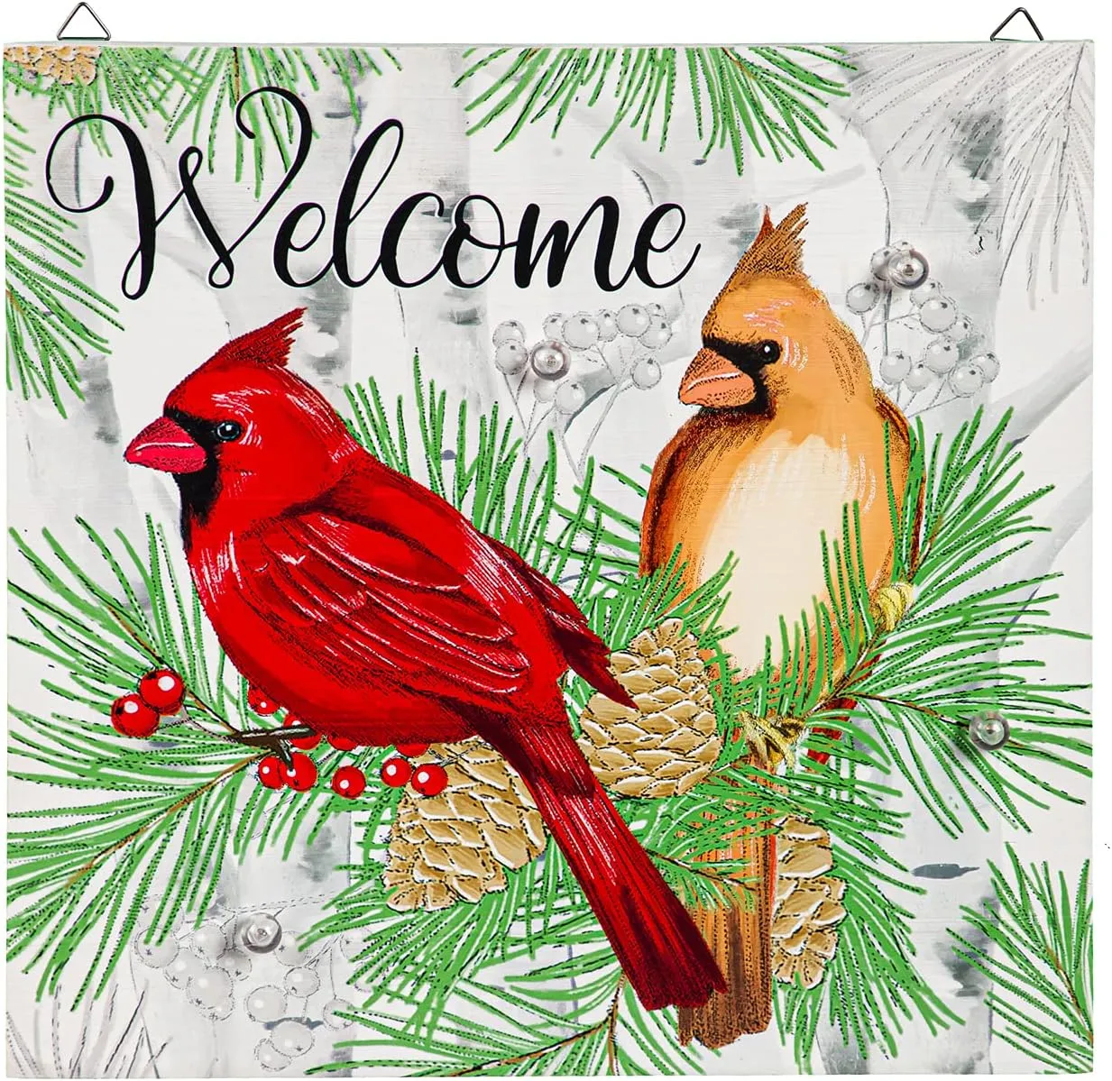 Evergreen Garden Solar Sign-sational Greeter with Stake, Winter Cardinal Couple