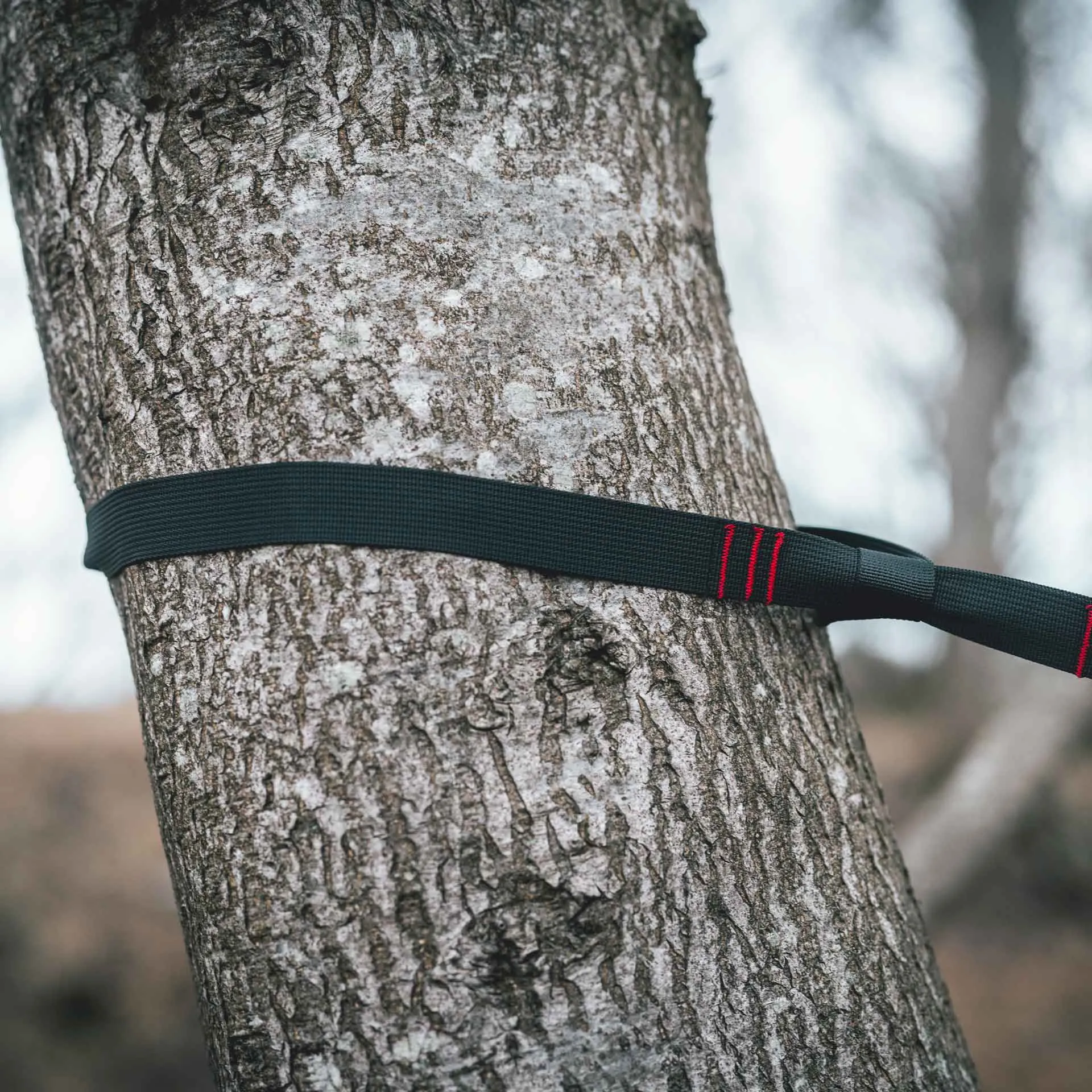 Expedition Hammock Net
