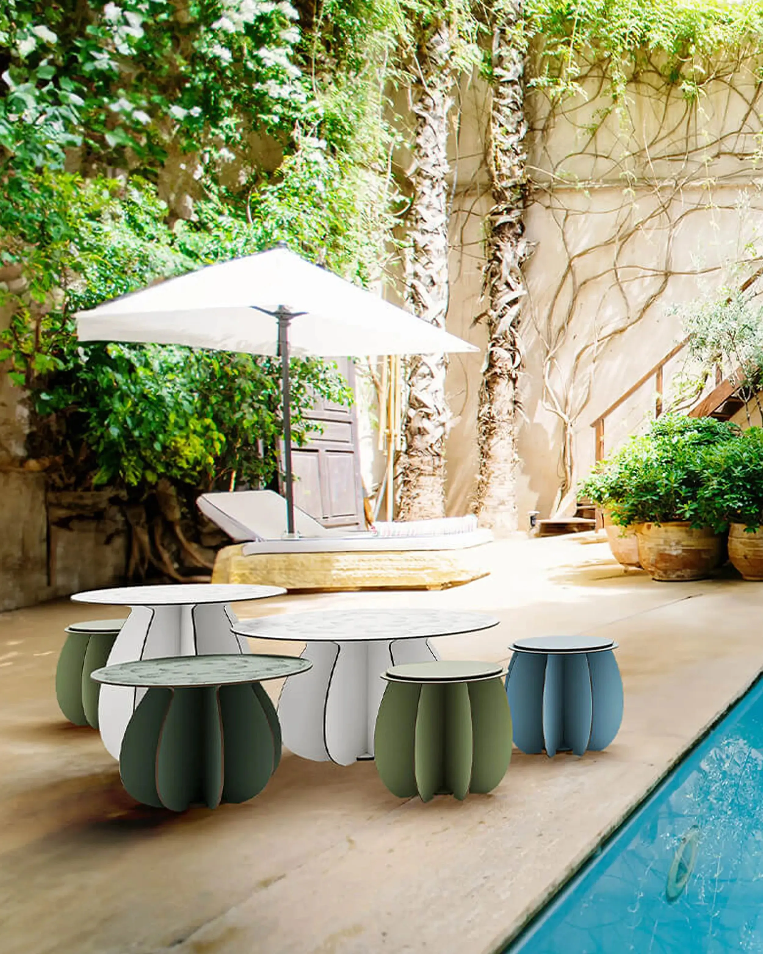 Ibride Gardenia Cholla stool
