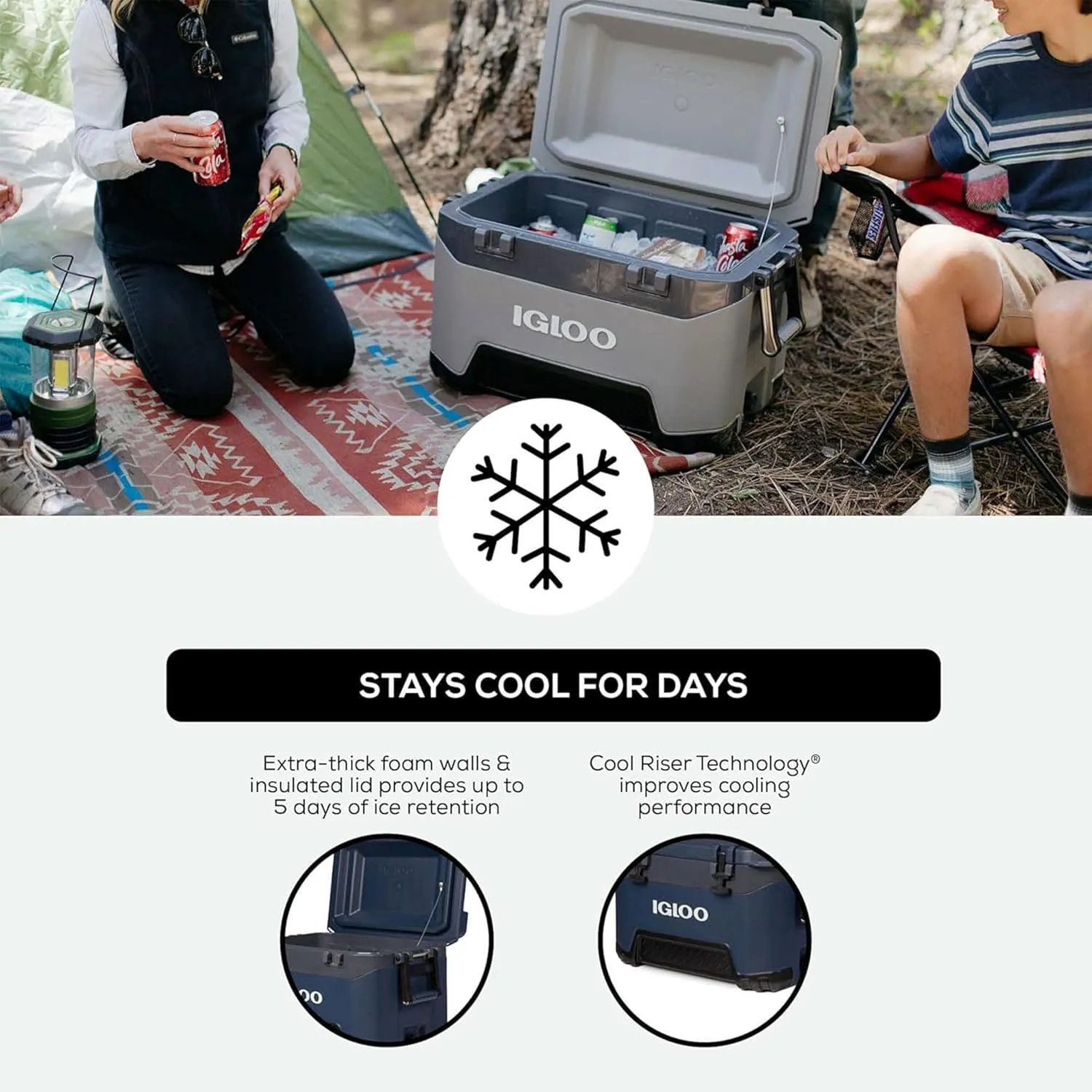 Igloo BMX Hard Coolers (25-72QT)