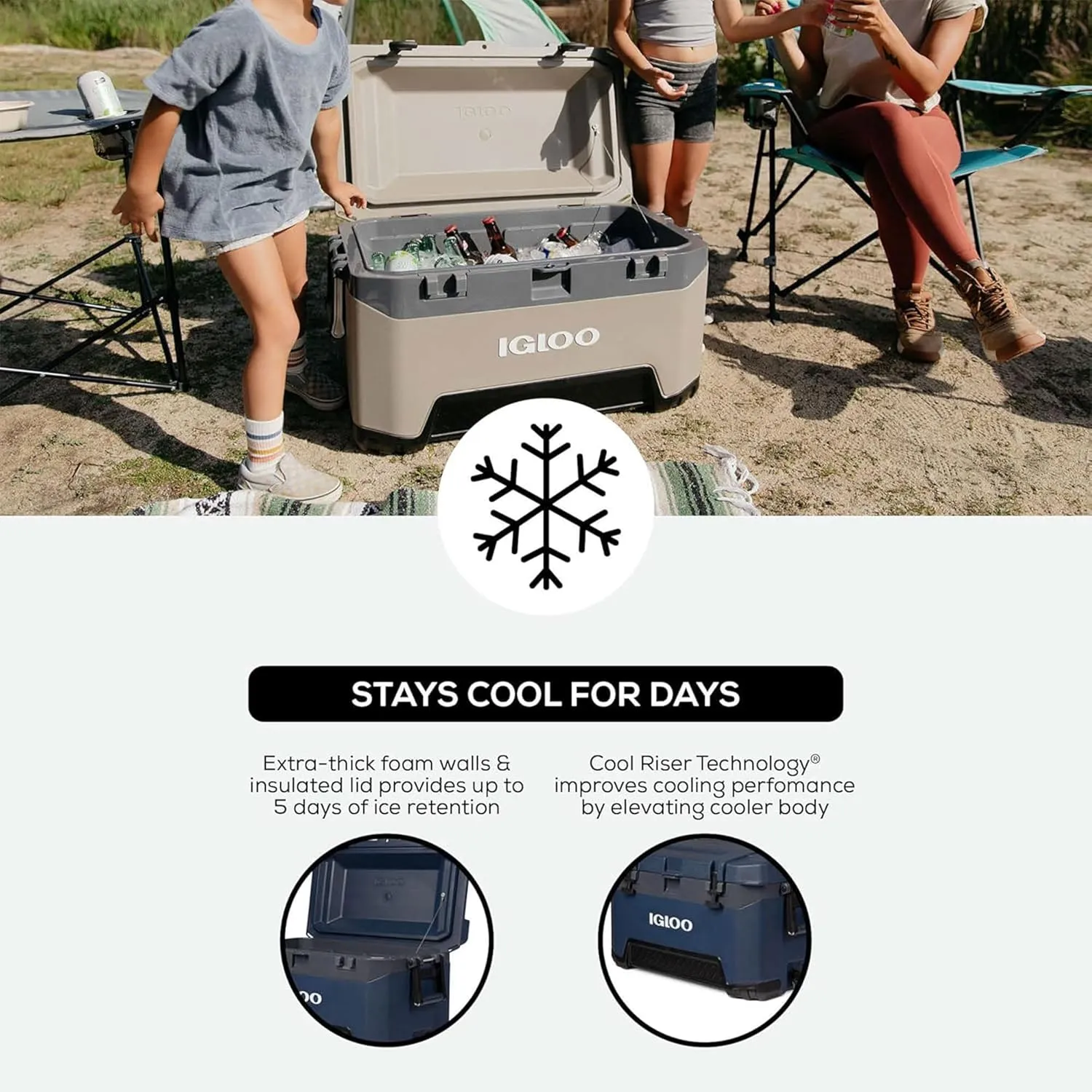 Igloo BMX Hard Coolers (25-72QT)