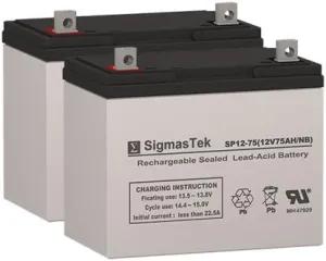 Permobil Chairman Entra Stander Jr. Wheelchair Deep Cycle Battery 12V 75AH Replacement