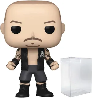 POP WWE: Randy Orton (RKBro) Funko Vinyl Figure (Bundled with Compatible Box Protector Case), Multicolor, 3.75 inches