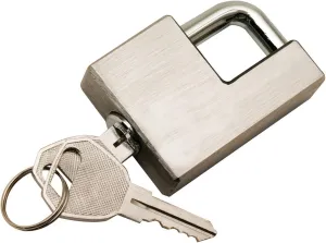 Reese Towpower 7005800 Trailer Coupler Lock, Adjustable, Stainless Steel