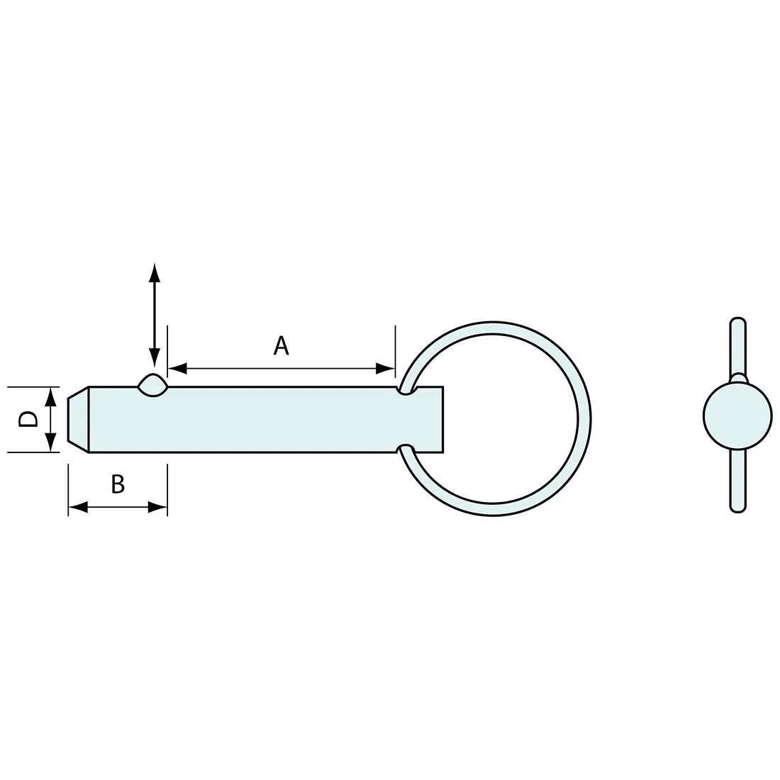 Ring Pull Detent Pin 6mm 40mm