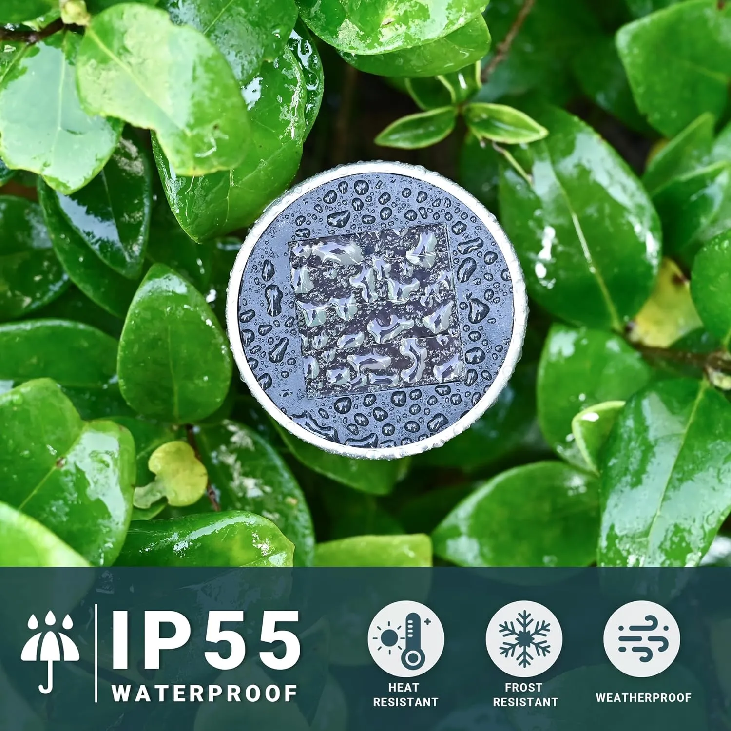 SOLPEX 16 Pack Solar Outdoor Lights Pathway, Stainless Steel Solar Lights Outdoor Waterproof,LED Landscape Lighting Walkway Light for Landscape/Patio/Lawn/Yard/Driveway-Warm White