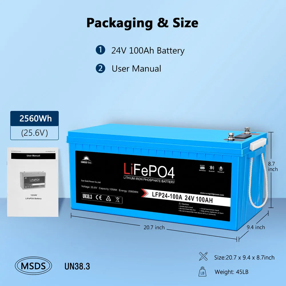 SunGold Power 2 Pack 24V 100Ah LiFePo4 Deep Cycle Lithium Battery with Bluetooth, Self-Heating, and IP65 Waterproof Protection