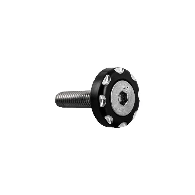 Suzuki Hayabusa Foot Pedal Peg Bracket Mount Foot Heel Pedal Screw Bolts AK-826053