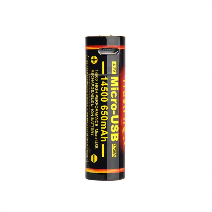 TF 14500 650mAh USB Battery