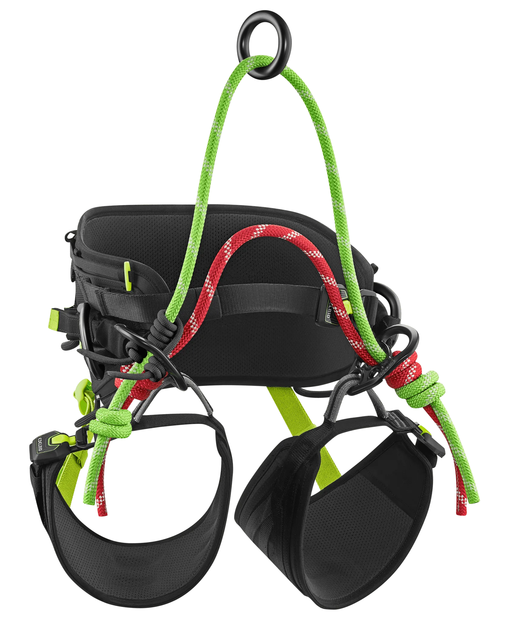 TreeRex Triple Lock Arborist Harness -EDELRID