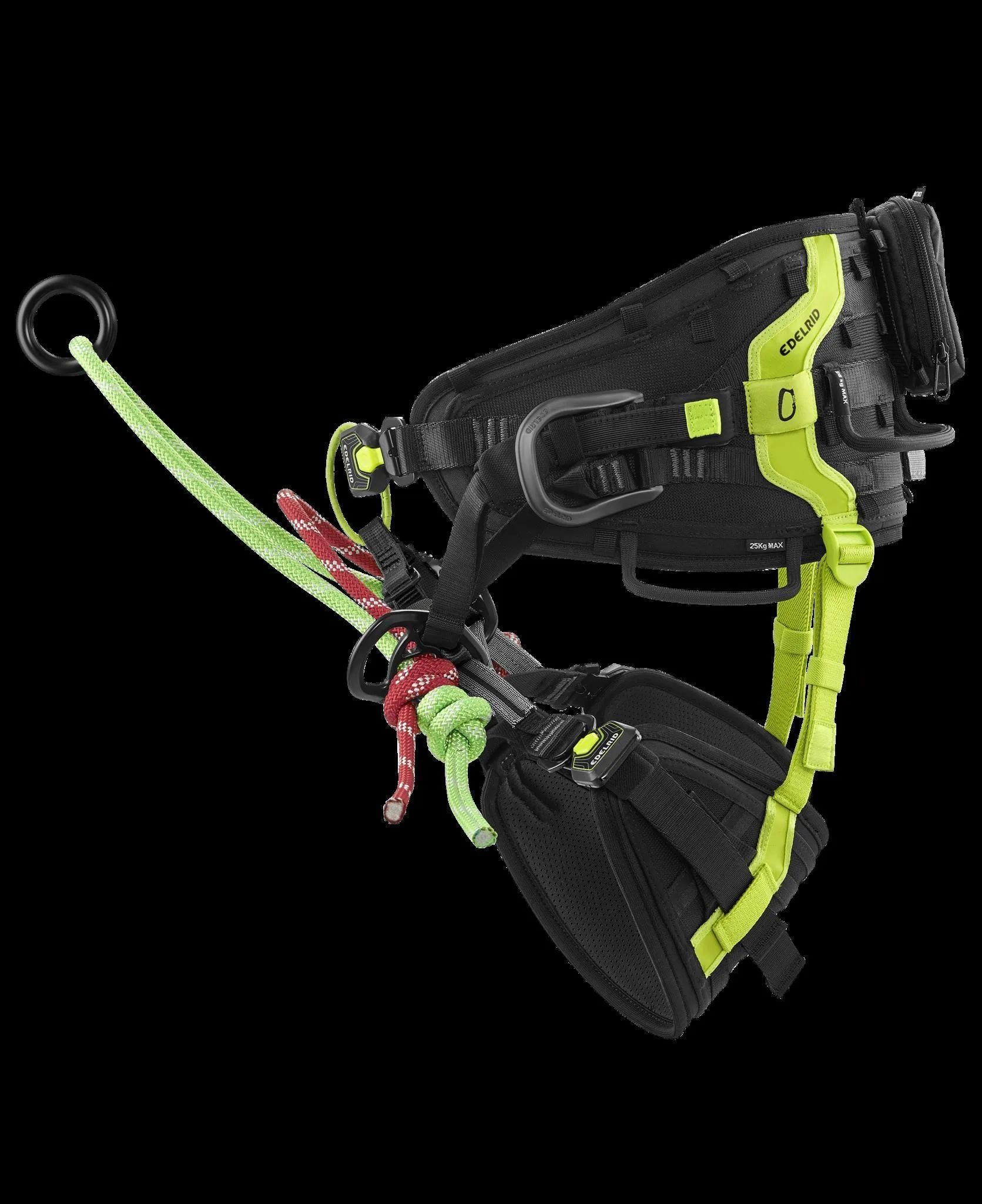 TreeRex Triple Lock Arborist Harness -EDELRID