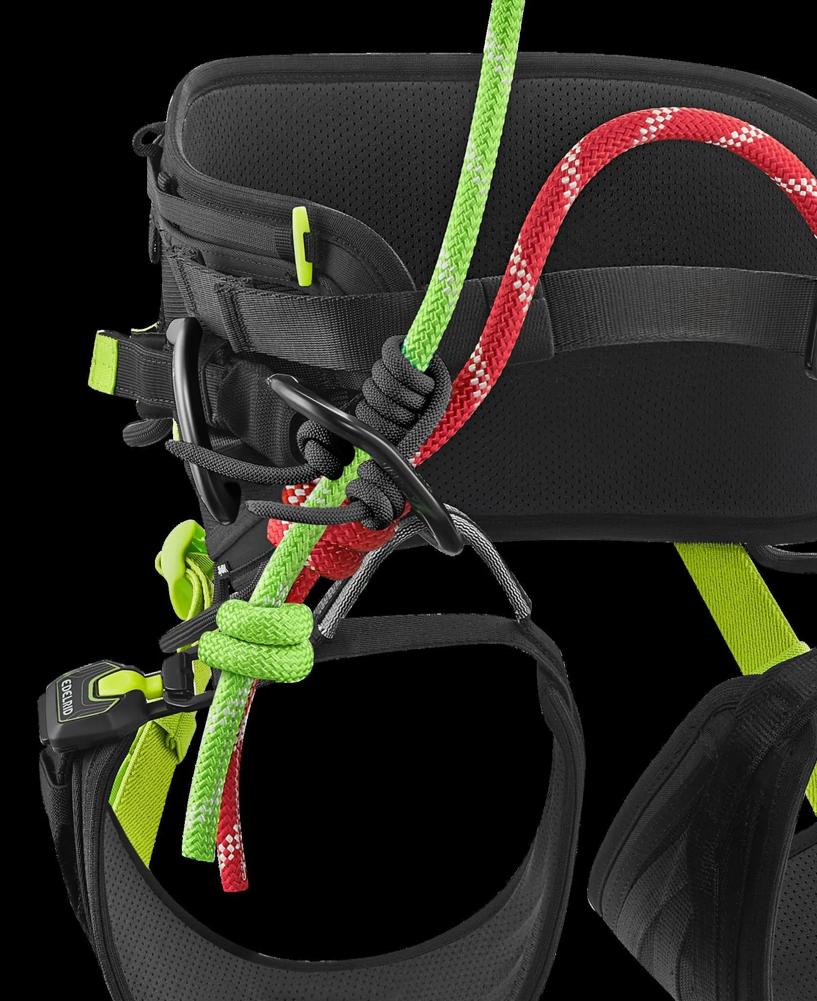 TreeRex Triple Lock Arborist Harness -EDELRID