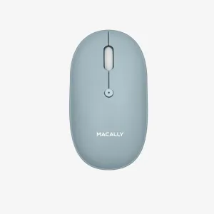 Wireless Mouse for Mac and PC (Blue)